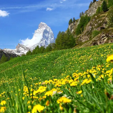 Silence-1 By Interhome Apartment Zermatt